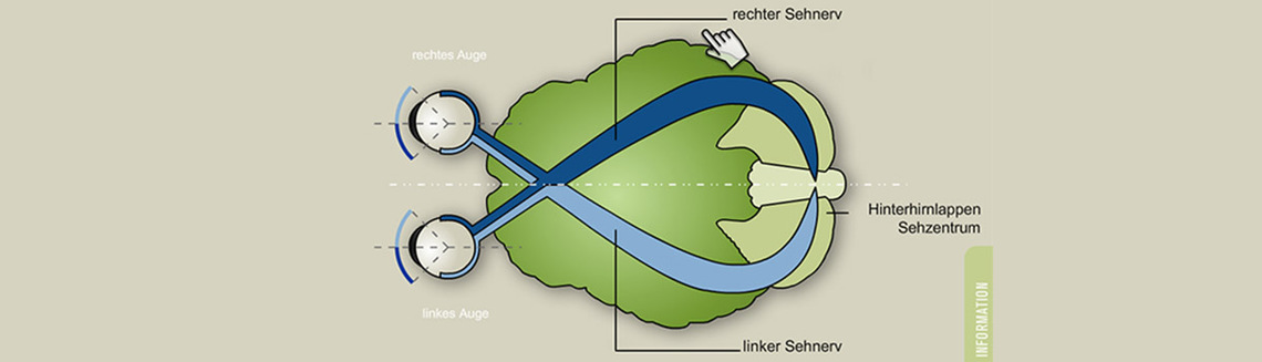 Lichtblick optik